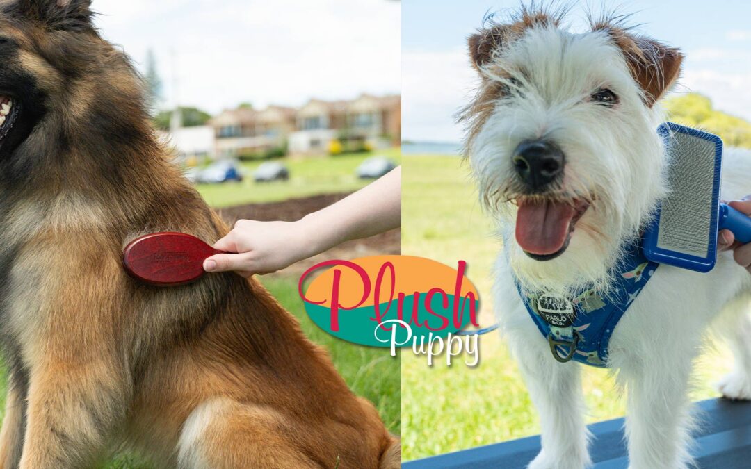 From Tangles to Shine: A Guide to Cleaning Dog Grooming Brushes